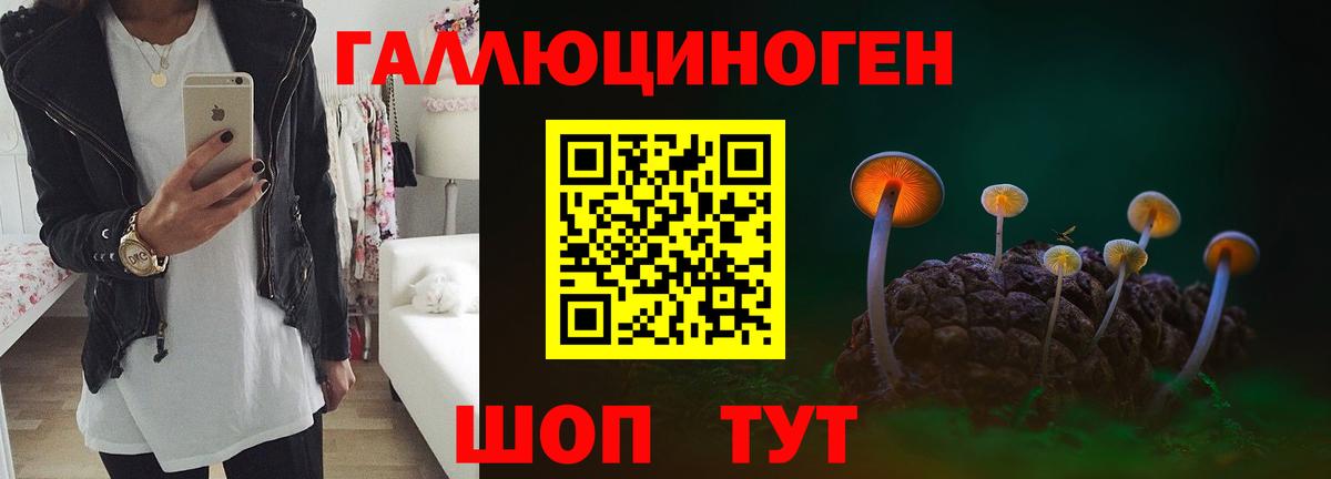 Галлюциногенные грибы Magic Shrooms Саранск