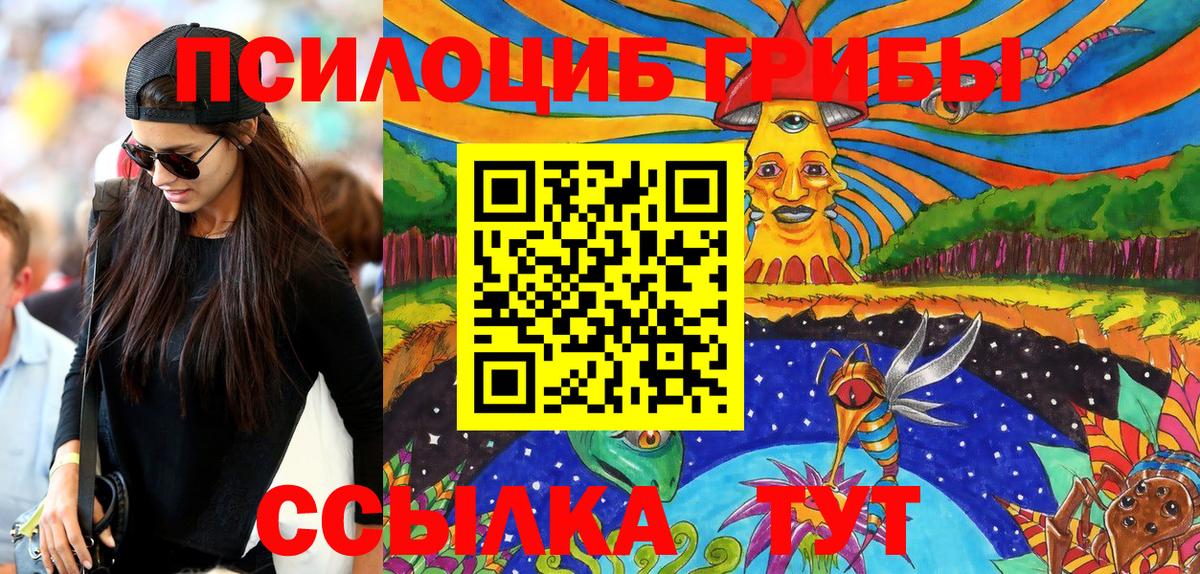 Саранск  хочу   Вход с VPN  Псилоцибиновые грибы мухоморы 
